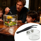 Magnetic Feeding Dish Set for Jumping Spiders — No-Wobble Acrylic Bowl