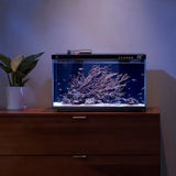 Mijia Smart Fish Tank MYG100 (App Control, Auto Feeding, Smart Lighting)