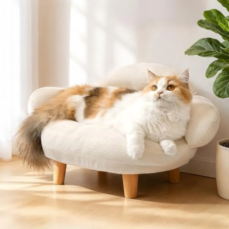 Cat Sofa Bed with Removable Velvet Cover & Pine Wood Legs