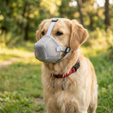 Air Mesh Dog Muzzle (Soft, Flexible, Adjustable Strap, Anti-Bite)