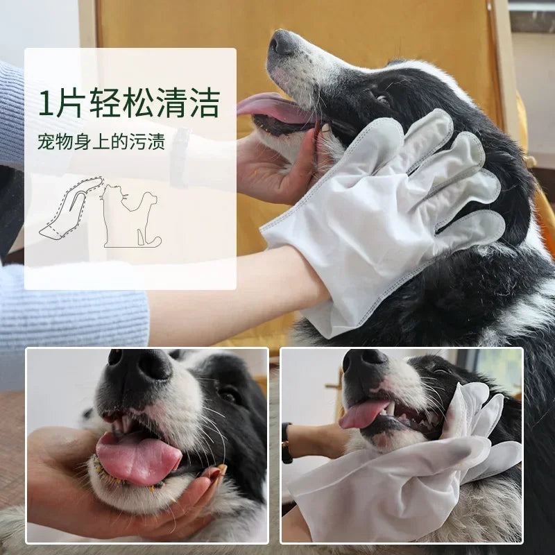 Wash-Free Pet Glove Towels — 6-Pack No-Rinse Deodorizing Wipes