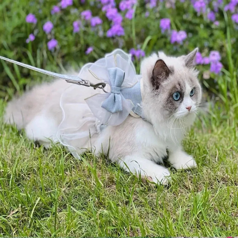 Princess-Style Cat Harness & Leash Set