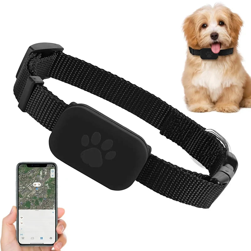 Multifunctional GPS Collar Tracker for Cats & Kittens (iOS)