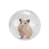 Hamster Exercise Ball — Translucent Running Ball for Rats & Hamsters