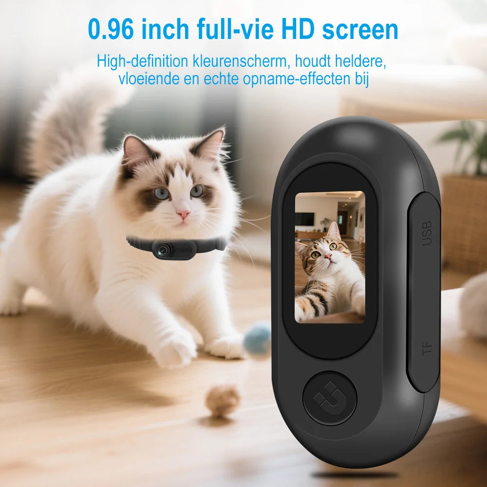 HD 1080P Wireless Pet Collar Camera with Magnetic Mount - No WiFi for Cats & Dogs