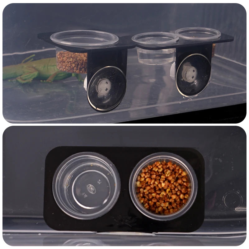 Suction-Cup Double Feeding Bowl — Space-Saving Dish for Geckos & Chameleons