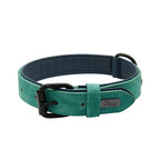 Padded Leather Dog Collar