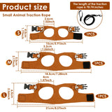 Reptile Leash & Harness Set — 3 Adjustable Sizes for Bearded Dragons