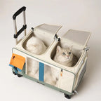 Extra-Large 2-Cat Foldable Breathable Pet Stroller with Backpack & Trolley Modes