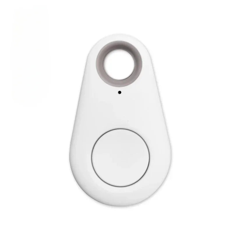 Bluetooth Smart Tag Keychain Tracker - Anti-Loss Finder for Pets & Keys