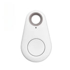 Bluetooth Smart Tag Keychain Tracker - Anti-Loss Finder for Pets & Keys