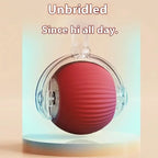 Smart Electric Rolling Ball Cat Toy with Fake Mouse Tail — USB Rechargeable Auto-Chase Trainer