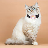 Smart Bluetooth Real-Time Global GPS Collar Tracker for Dogs & Cats