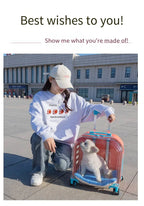 Translucent Portable Large-Capacity Pet Carrier & Aviation Travel Case for Cats