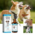 Herbal Cough & Runny Nose Drops for Dogs — Soothing Relief Support