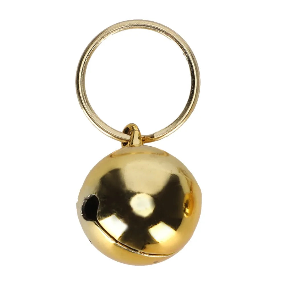 Gold & Silver Pet Collar Charms 2-Pack (Polished, Long-Lasting, Cat & Dog)
