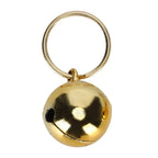 Gold & Silver Pet Collar Charms 2-Pack (Polished, Long-Lasting, Cat & Dog)