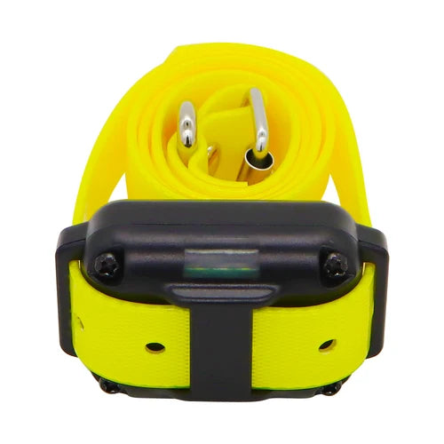 Rechargeable Electronic Dog Training Collar