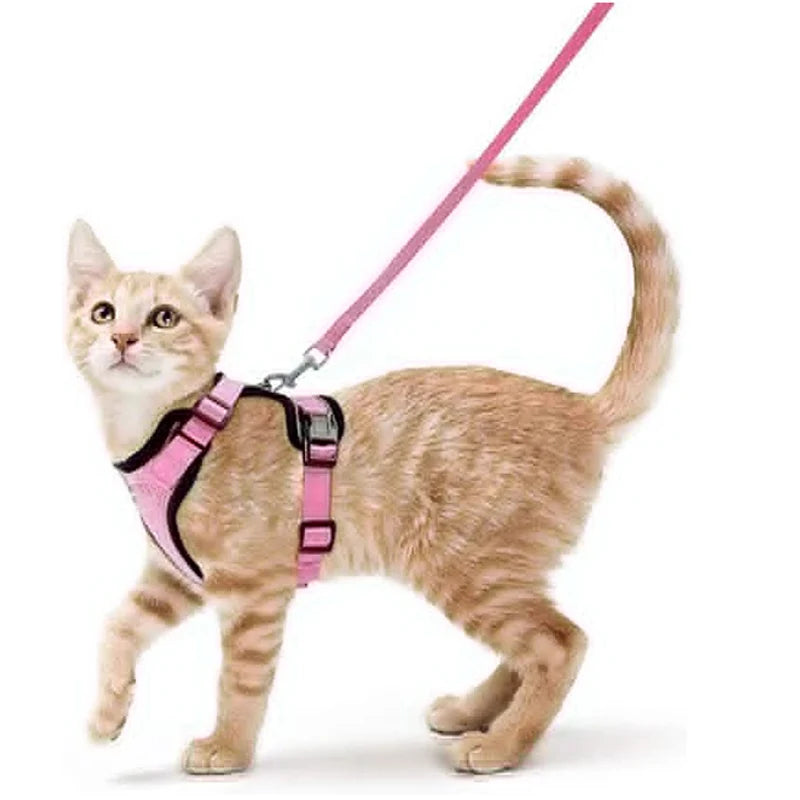 Anti-Escape Kitten Harness & Leash Set — Lightweight Breathable Vest