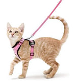 Anti-Escape Kitten Harness & Leash Set — Lightweight Breathable Vest