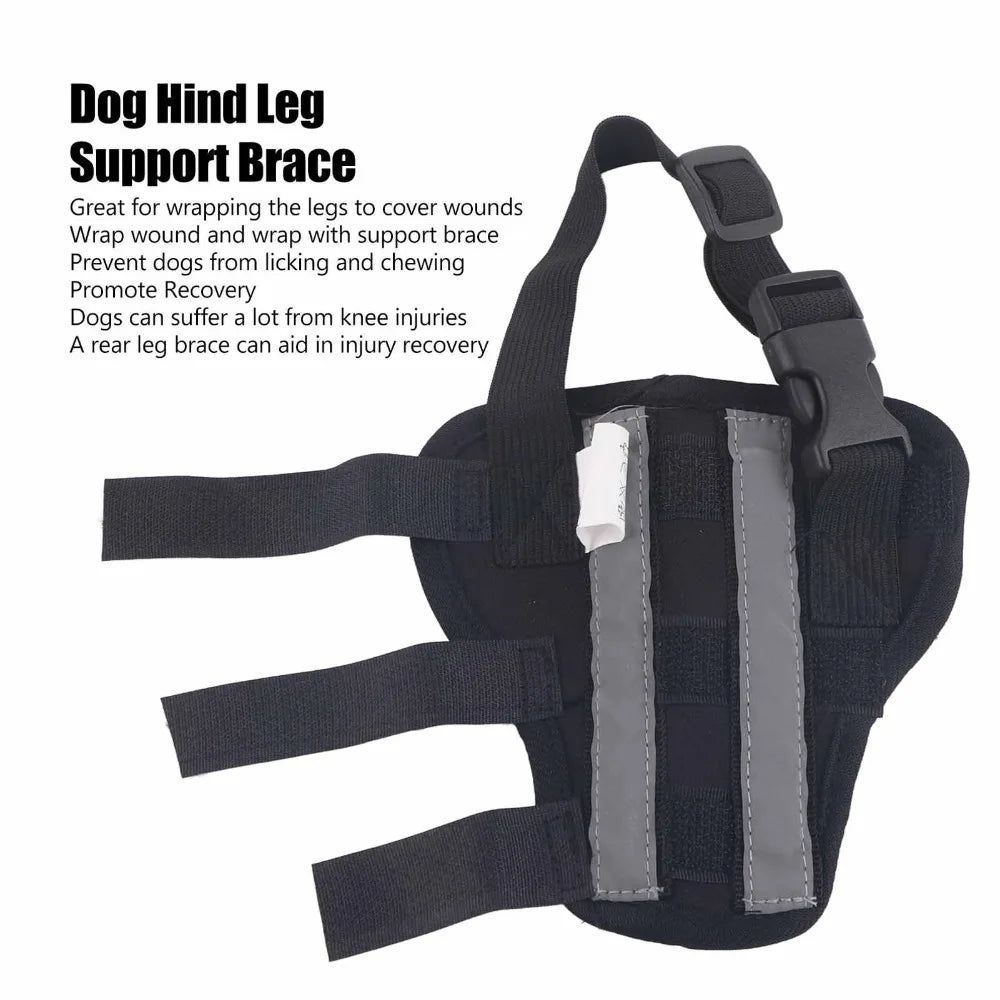 Dog Hind Leg Brace (Adjustable, Joint Stabilizing, Breathable)