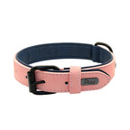 Padded Leather Dog Collar