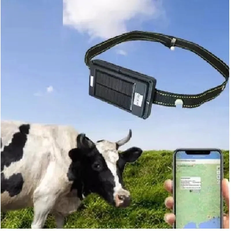 4G Solar GPS Collar Tracker for Livestock & Cattle with 20,000mAh Battery - IP67 Waterproof
