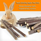 Apple Tree Branch Chew Sticks — Natural Teeth Grinding Sticks for Hamsters & Rabbits