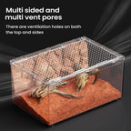 Transparent Acrylic Terrarium — Ventilated Enclosure for Spiders, Geckos & More