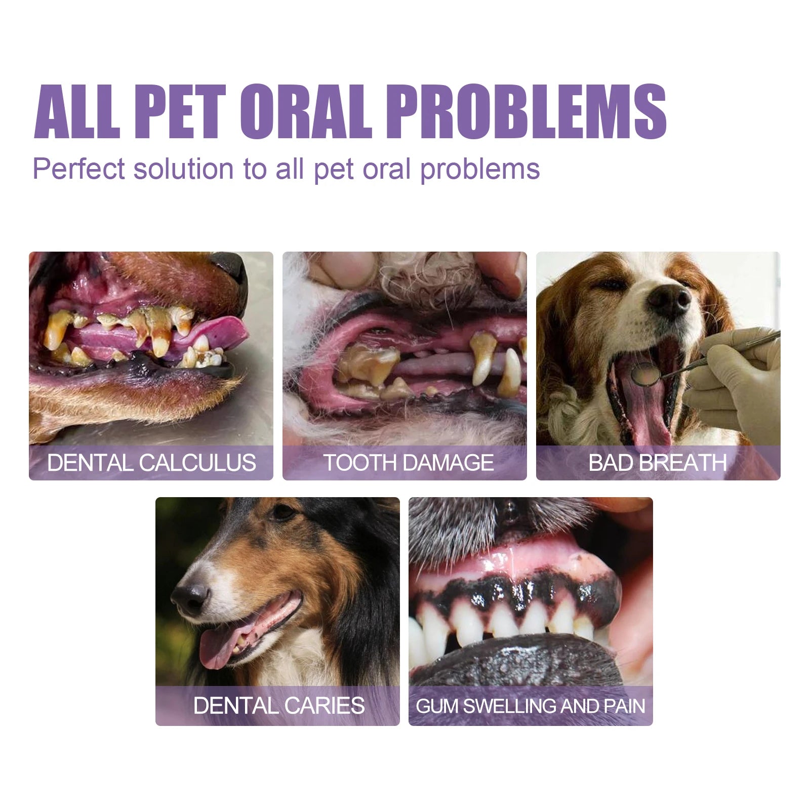 Dog Oral Repair Gel — Tartar Stain Remover & Breath Freshener, 3ml x 2