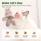 Plush Animal-Shaped Catnip Kicker Toy