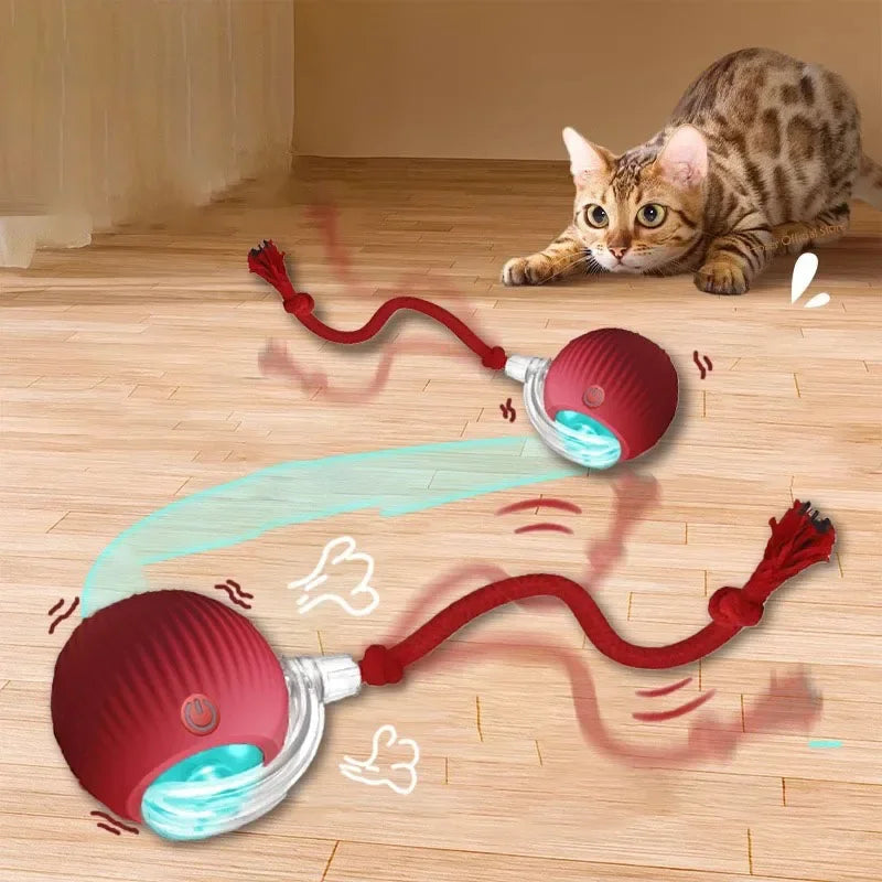 Smart Rolling Ball Toy with Faux Tail — Rechargeable Mouse Mimic
