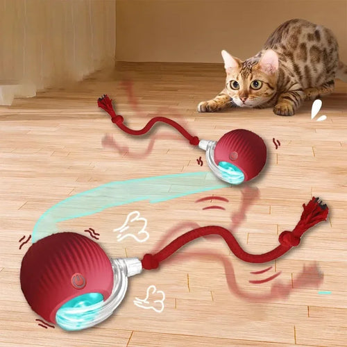 Smart Rolling Ball Toy with Faux Tail — Rechargeable Mouse Mimic