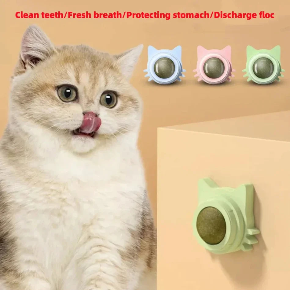 Natural Catnip Wall-Spin Ball — Mint Dental & Digestive Stimulator