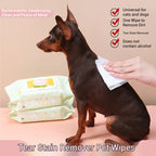 No-Rinse Pet Wipes — Tear Stain & Body Cleaning Wipes, 3-Pack (240 Count)