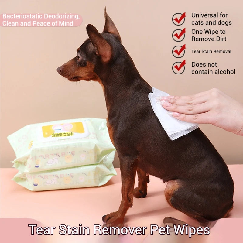 No-Rinse Pet Wipes — Tear Stain & Body Cleaning Wipes, 3-Pack (240 Count)