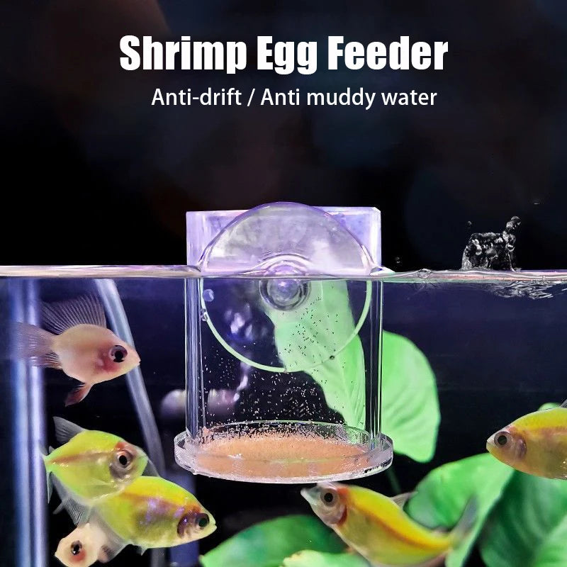 Acrylic Aquarium Fish Feeding Ring (Anti-Drift, Transparent, Floating)