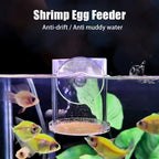 Acrylic Aquarium Fish Feeding Ring (Anti-Drift, Transparent, Floating)