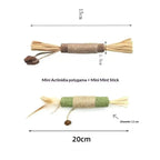 Natural Wood Knotweed Cat Teething Sticks — Sisal Rope & Raffia