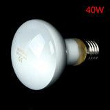UVA Daylight Heating Bulb for Reptiles — Waterproof, 25W-100W