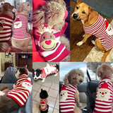 Christmas Holiday Sweater Coat for Chihuahua & Teddy Dogs