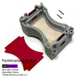 Modular Ant Farm Formicarium — Expandable Nest with Built-In Water Reservoir