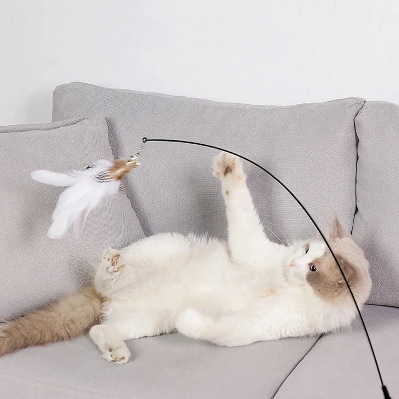 Suction Cup Feather & Bell Cat Teaser