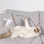 Suction Cup Feather & Bell Cat Teaser