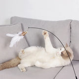 Suction Cup Feather & Bell Cat Teaser