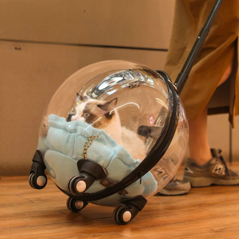 Transparent Breathable Cat Trolley Travel Case & Carrier Bag with Cat Nest for Outdoor Use