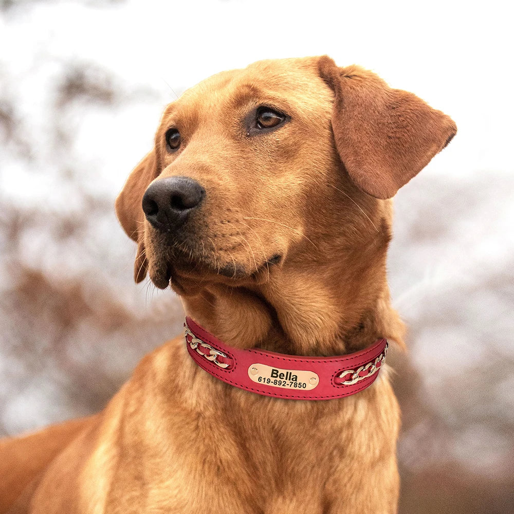 Custom Engraved Leather Dog Collar