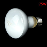 UVA Daylight Heating Bulb for Reptiles — Waterproof, 25W-100W