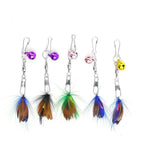 5/10-Pack Fly-Shape Teaser Stick Replacement Heads — Bell & Feather Cat Wand Attachments