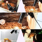 UVA+UVB Full Spectrum Reptile Basking Bulb — 25W-75W Sunlamp